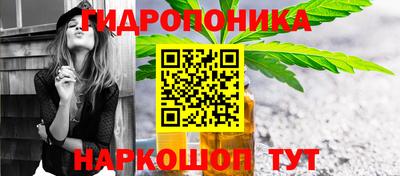 ешки Камышлов
