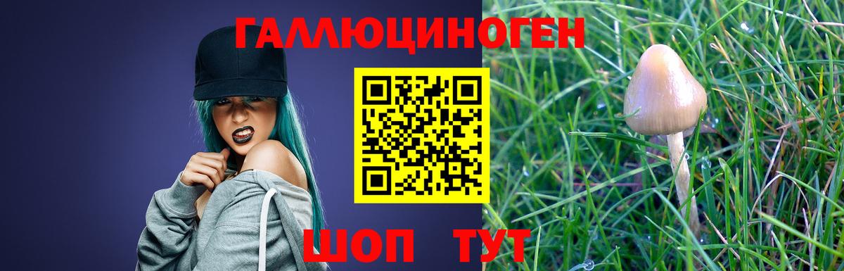 Крымск  Псилоцибиновые грибы мицелий  купить   Псилоцибиновые грибы Cubensis  Вход с VPN 